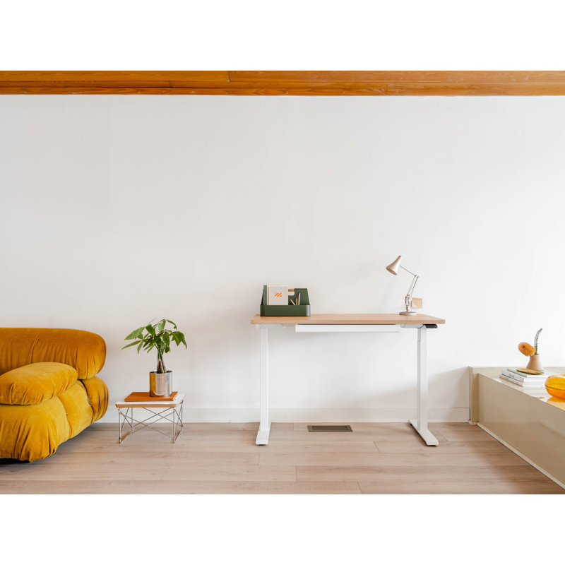 Duo Standing Desk, Woodgrain, 47.3" H x 48" W x 24" D, White