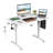 40" Pure White Electric Standing Desk - Minimalist Height Adjustable Sit-Stand Desk For Small Spaces With Smart Memory Presets-2063234200