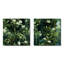Cladie - Ensemble de 2 collages carrés en bambou-101861009-101861011