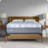 Sealy Dreamlife 14” Plush Foam Mattress-in-a-Box-99281171