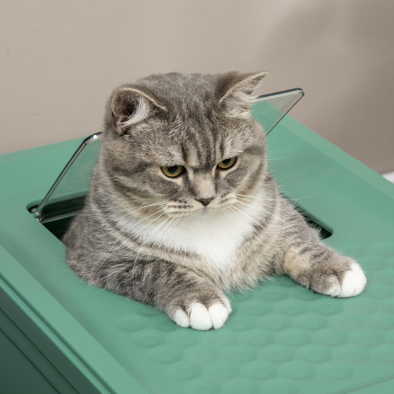 Litière pour chat fermée, spacieuse, en forme de boîte, double porte