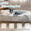 Lit pour chien Humain 71 po x 45 po x 12 po qui convient à vous et aux animaux de compagnie, en fausse fourrure lavable, orthopédique, coussin dodu, couverture, sangle - gris-2110892367