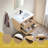 30'' Modern Wall-Mounted Single Bathroom Vanity Set-1908933959