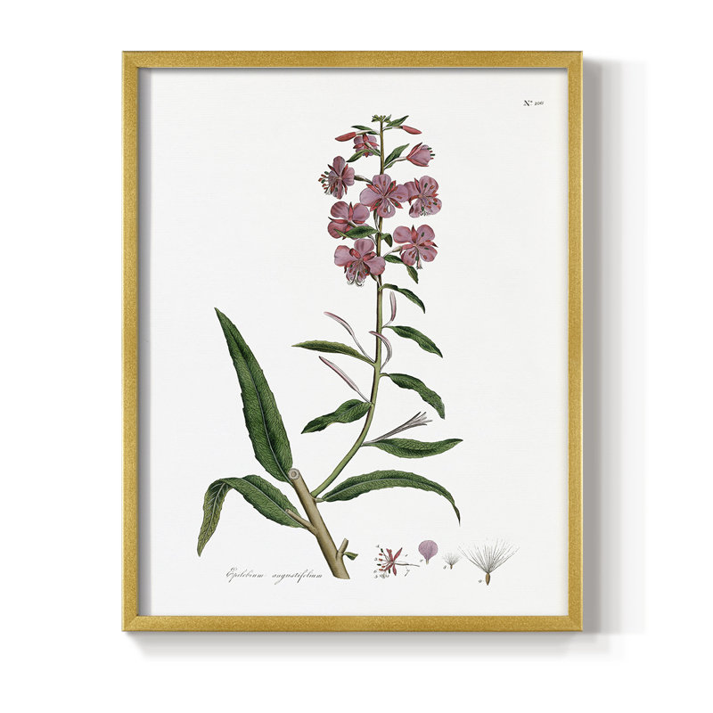 Rose Botanical I Framed Print - Solid Wood, 30" H x 24" W, Gold