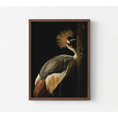Grue couronnée grise - reproduction d'art encadrée | Décoration murale faune | Prêt à être suspendu