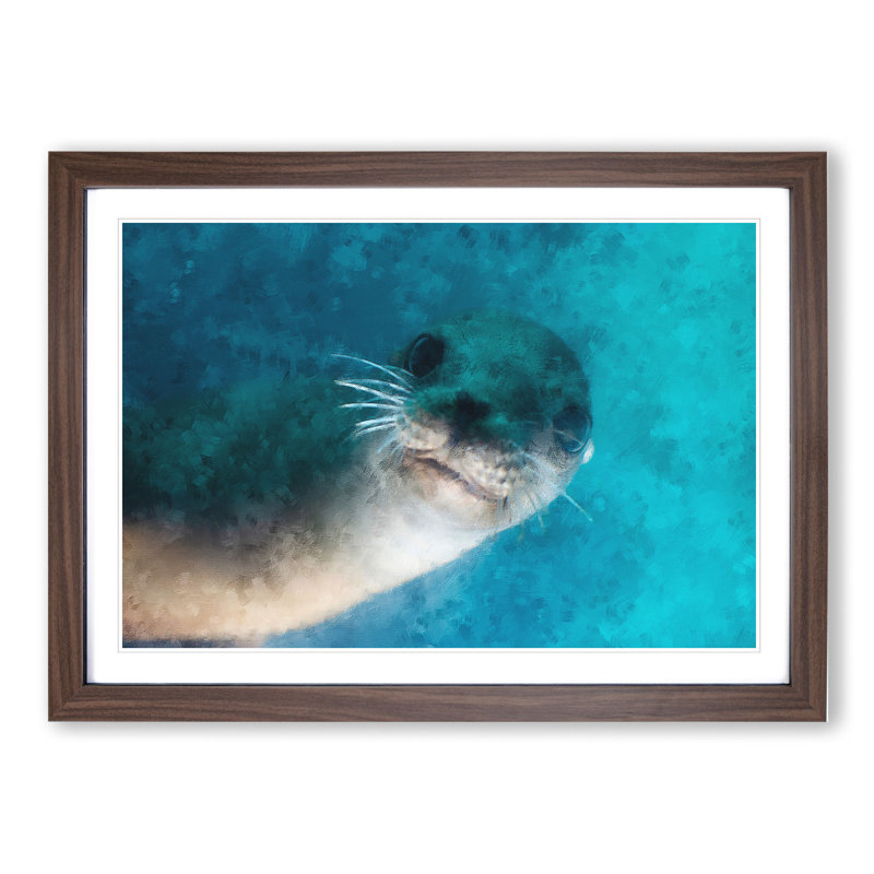 Face of a Seal - Framed Print, Walnut Framed, 48cm H x 65cm W x 2cm D