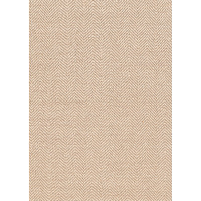 Tanguay Chevron Indoor Rug