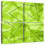 Feuilles vertes Kerner