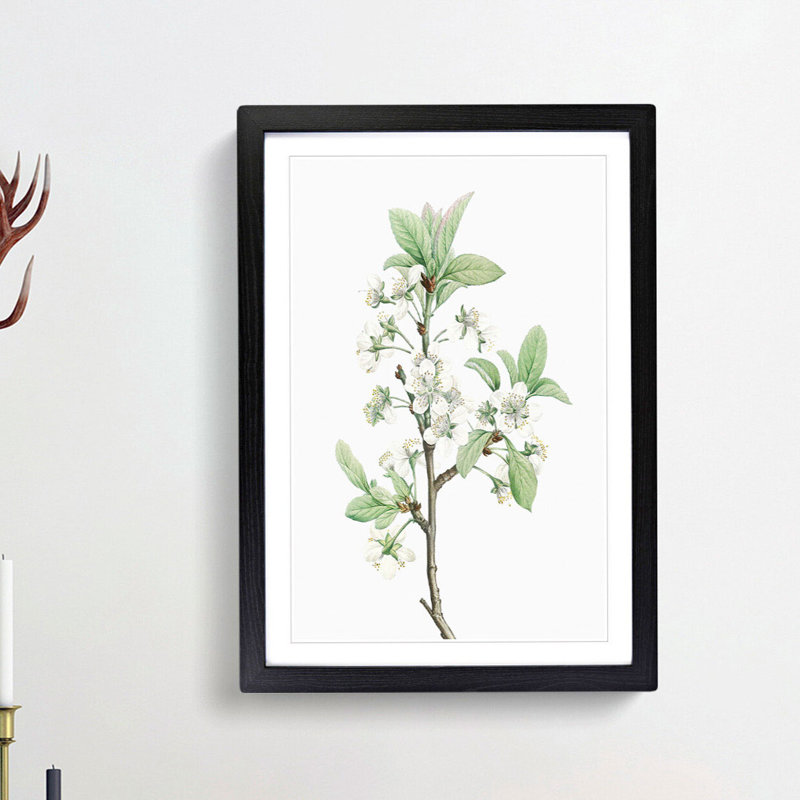 Plum Tree Flowers by Pierre-Joseph Redoute - Picture Frame Painting Print, 48cm H x 36cm W x 2cm D, Black Framed