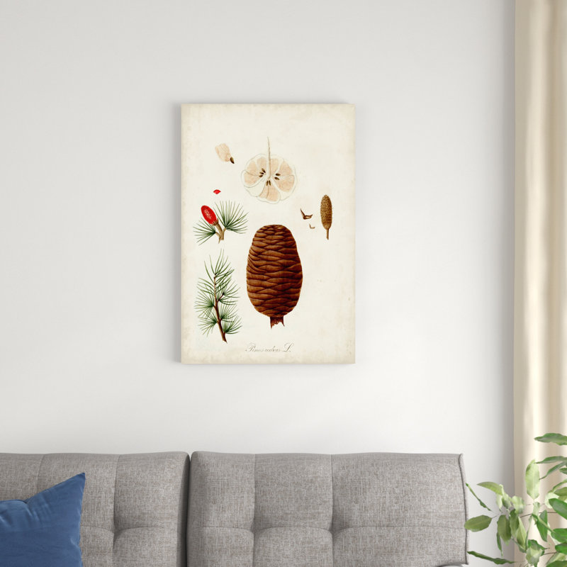 Antique Tree Study VII - peinture sur toile tendue, H 30 po x l 20 po