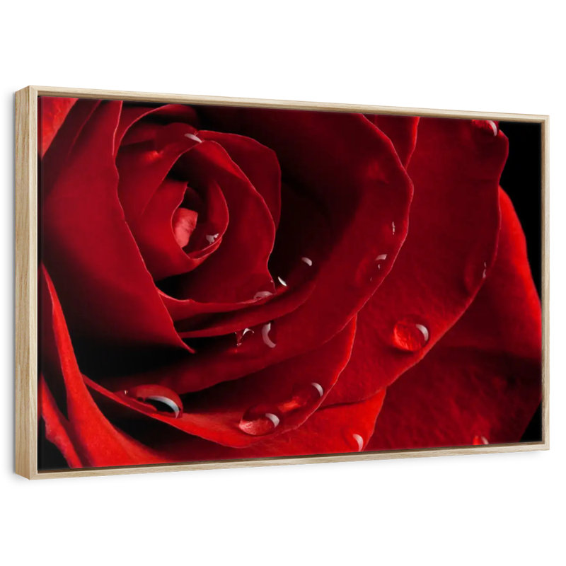 Rose rouge fraîche, Cadre flottant en bois naturel, 13 po x 9 po