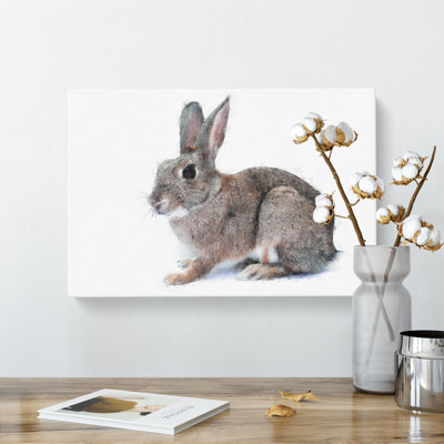 Brown Bunny Rabbit Painting - Wrapped Canvas