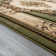Ramsel Oriental Indoor Rug