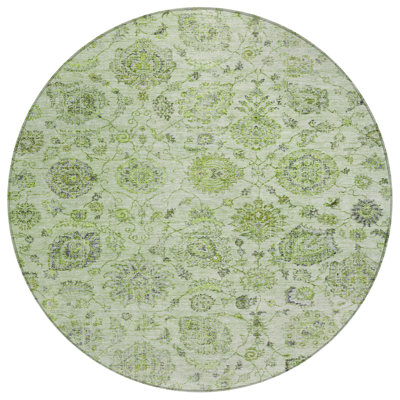 Machine Washable Indoor/Outdoor Xhevrie Aloe Rug
