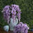 19" H Polyester Artificial Wisteria Bush with Flexible Stems, Bushes and Sprays-1007490571