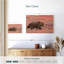 Ours grizzly Brampt-108945861