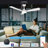 Veter 52'' Ceiling Fan with LED Lights