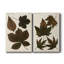 Feuilles d'automne III - ensemble de 2 reproductions d'art-813424172-813424175-813424196