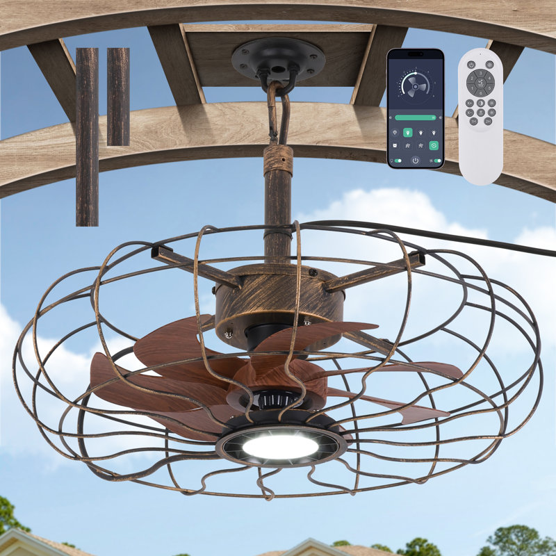 20-Inch Outdoor Plug-In Hanging Caged Ceiling Fan with LED Light, Remote and App Control, Black Brush Gold, Black Brush Gold