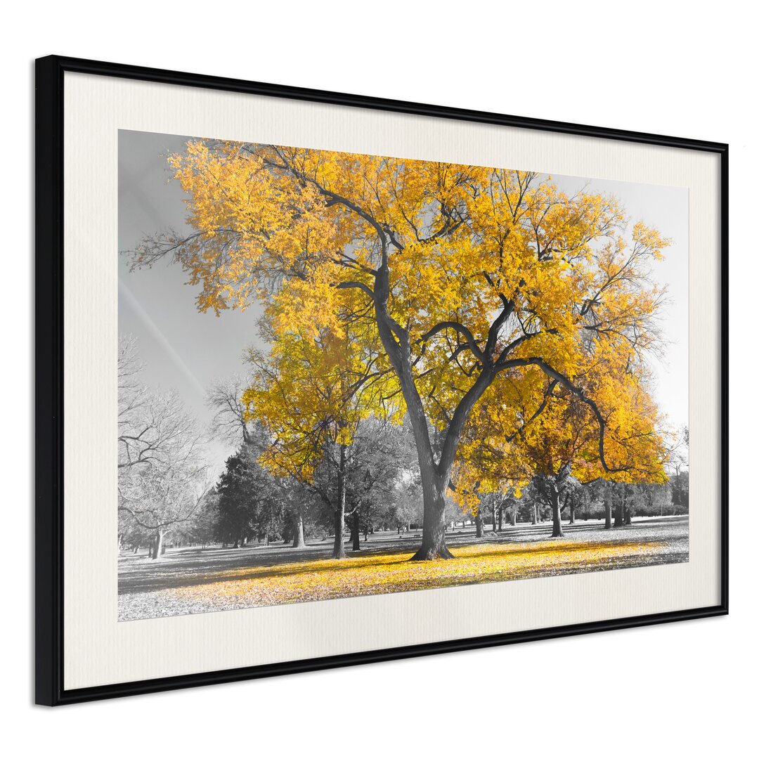 Gerahmtes Poster Golden Tree