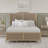 Gia Wingback Bed-1308982362-1247202171
