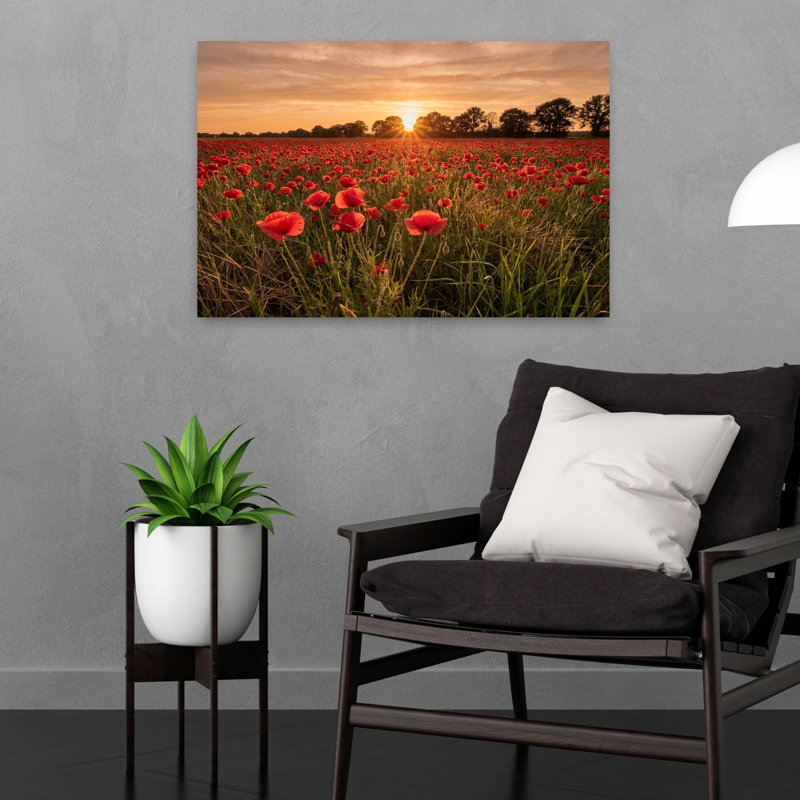 Coucher de soleil sur fond de coquelicots, paisible, serein, vibrant, coquelicot, paysage, art mural, H 16 po x l 24 po