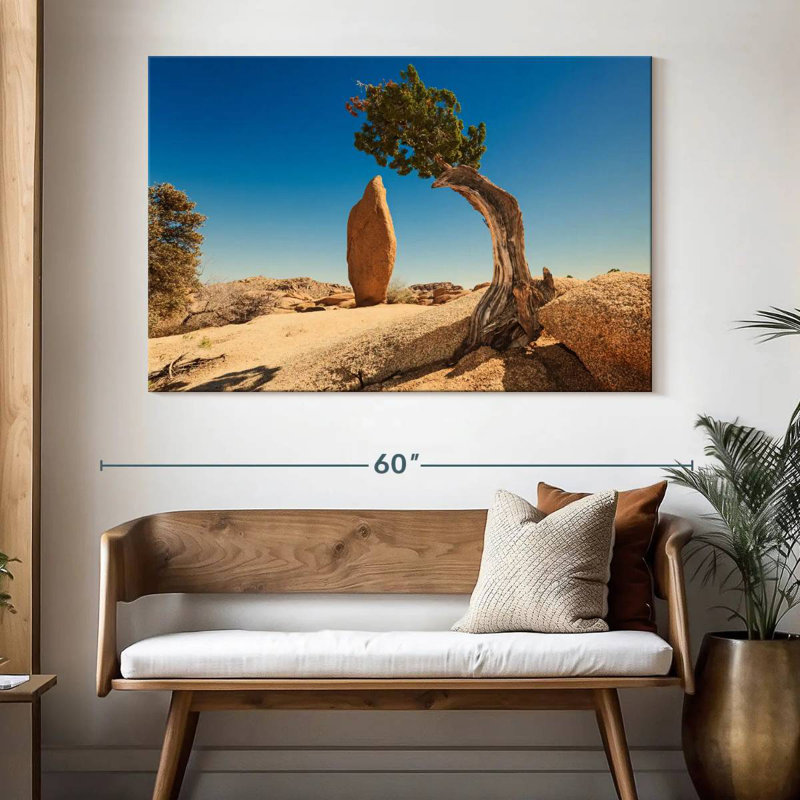 Genévrier et monolithe Nicci Joshua Tree Park, H 34 po x l 51 po
