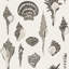 Papier peint Sullivan’s Island Shells par Megan Molten-112732715-112732712