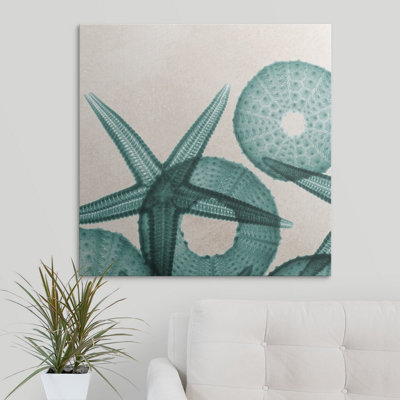 Under The Sea Coastal