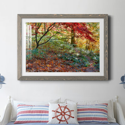 " Secret Garden " by J Paul
