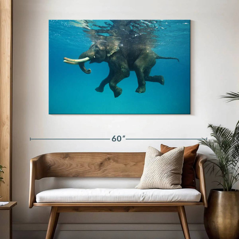 Brampt Swimming Asian Elephant