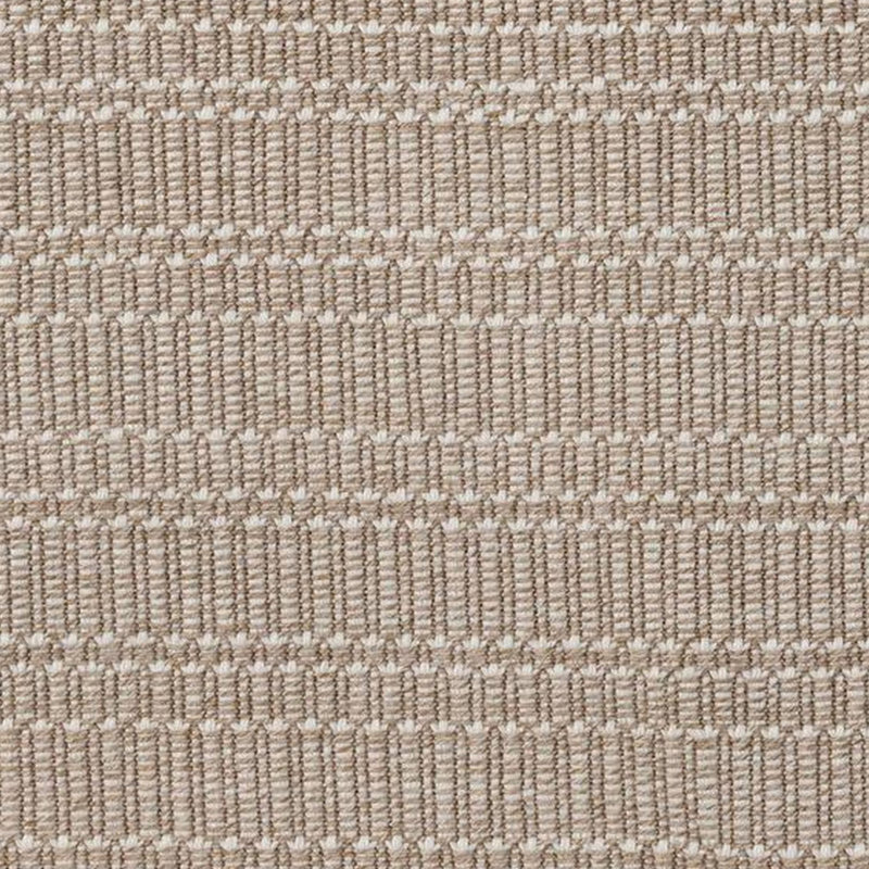 Area Rug in Brown, Rectangle 2' x 3'
