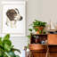 Reproduction d’art sur toile tendue « Danchin Brittany Spaniel »-1474806300