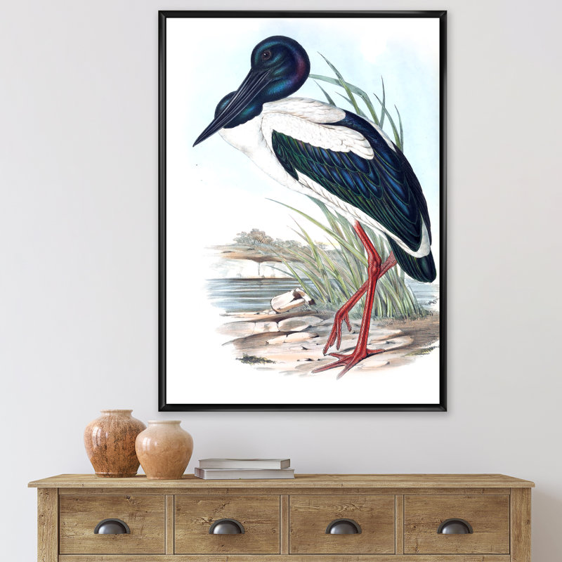 Oiseaux australiens rétro I - Impression sur toile, H 32 po x l 16 po x P 1 po, Cadre noir