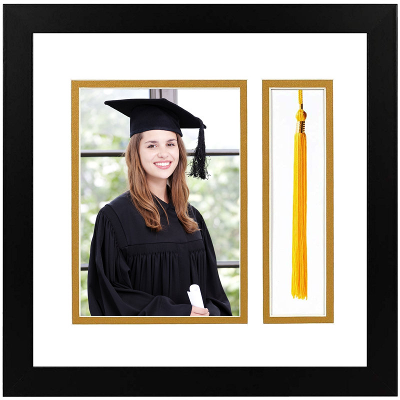 Ariagna Black Shadow Box Picture Frame with Mat