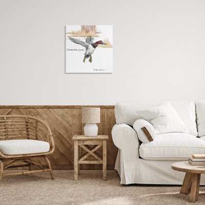 «Canvasback Duck Flying», art mural par Jadei