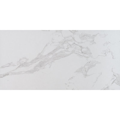 Chiara 24 in. x 48 in. Matte Porcelain Stone Look Floor and Wall Tile