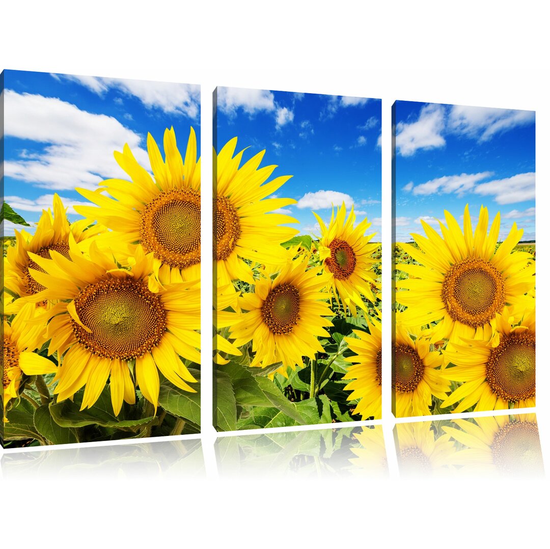 3-tlg. Leinwandbilder-Set Sunflower Field Under a Blue Sky