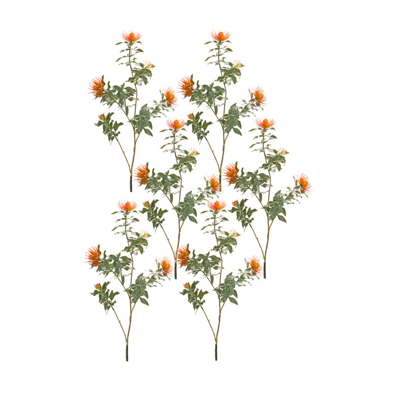 Protea Sprays, Orange
