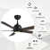 Liandro 60'' Ceiling Fan with Light