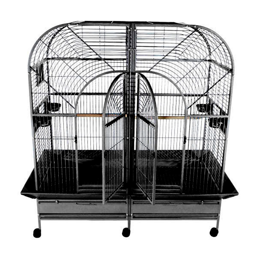 Curated visual reference: Tucker Murphy Pet Cheyeene Dome Top Style Double Macaw Bird Photo Inspiration