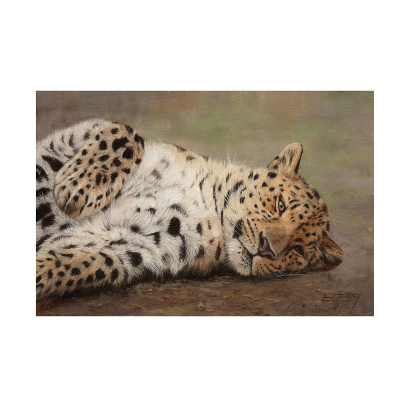 «David Stribble Resting Leopard», art sur toile, H 12 po x l 19 po