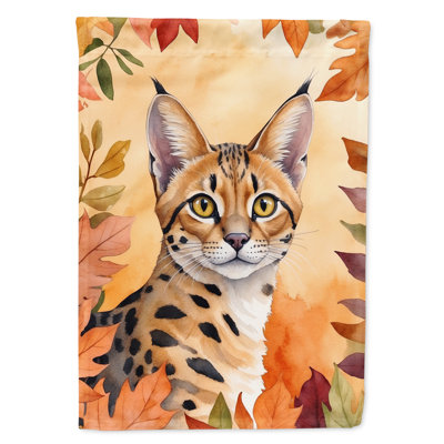 Chat en feuilles d'automne