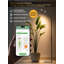 Lampe de croissance DEL 24 W pour plantes d'intérieur, spectre complet, avec support, intensité variable, 3 modes d'éclairage, hauteur réglable de 58 à 200 cm, minuterie 3/9/12/16 h, lampe sur pied noire à une tête.