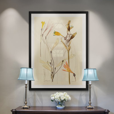« antique botanique esquissé vi »-impression sur toile