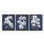 Floral Study Series LVI -Set de 3 estampes numériques giclées -Prêt à accrocher-107268362-107268366