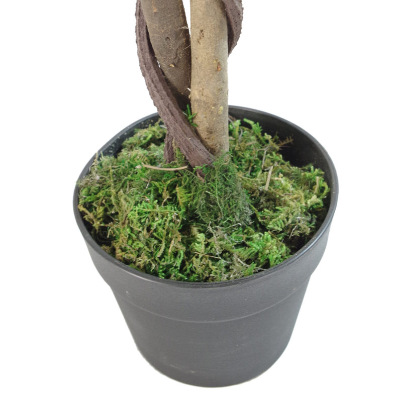 Anlin 150cm Faux Ficus Tree in Pot
