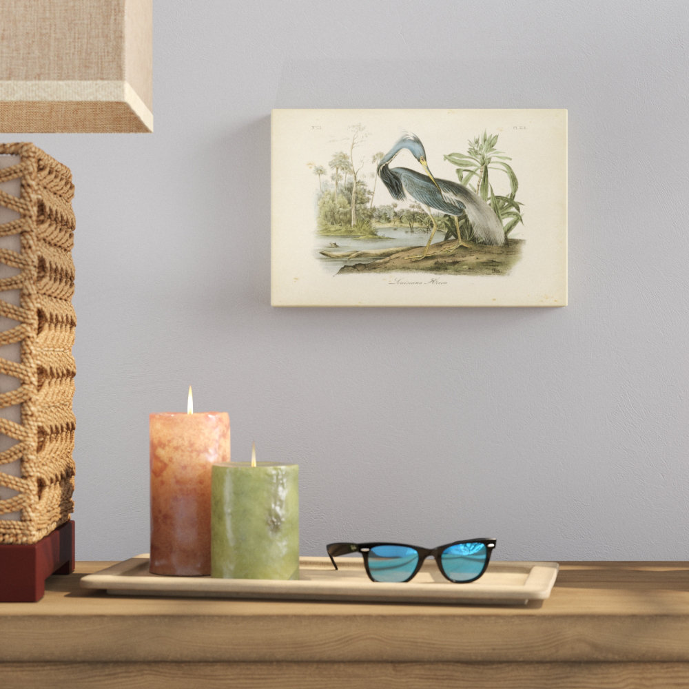 Audubons Louisiana Heron by James Audubon - Wrapped Canvas Painting Print