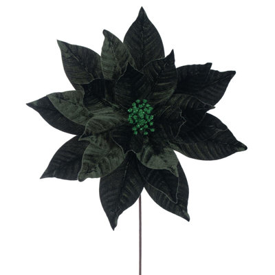 Tiges de poinsettia Clementina