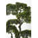 Aislin 37" Artificial Bonsai Tree in Planter